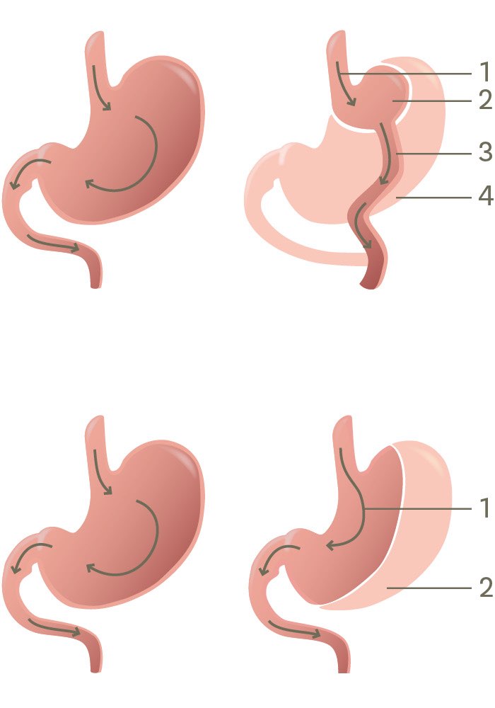 21 Fkb Mag39 Hoch 17